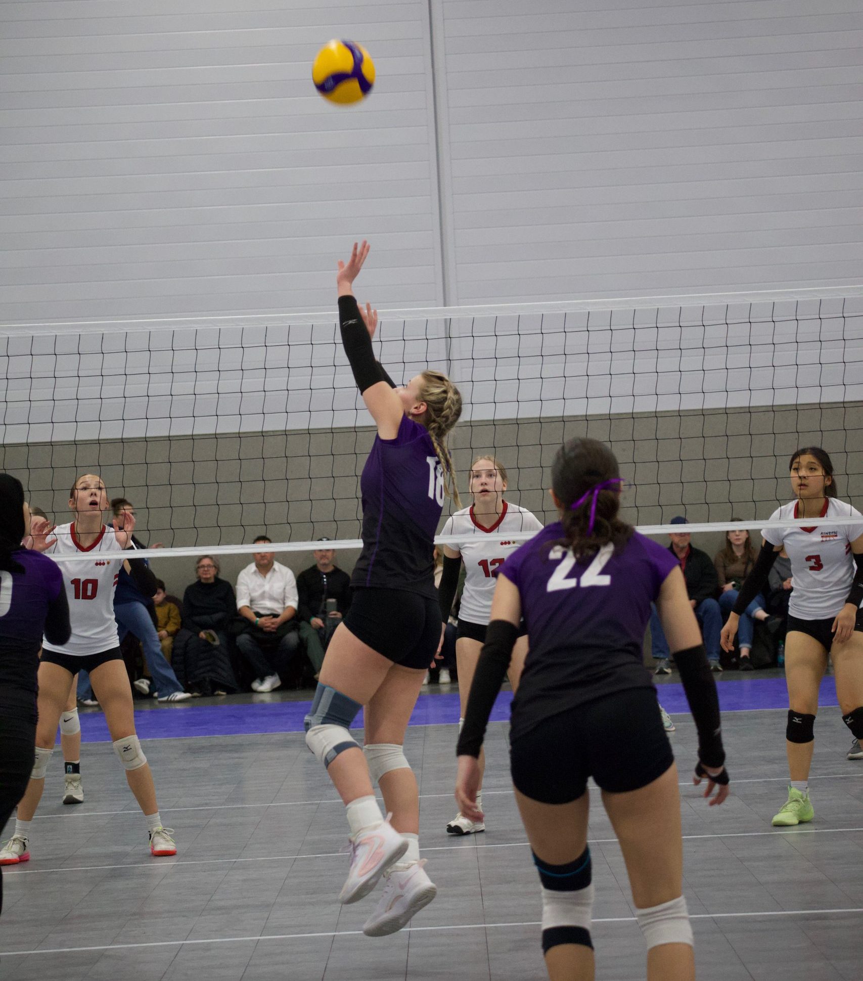 Setter